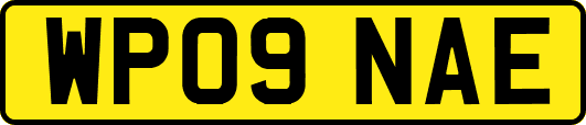 WP09NAE