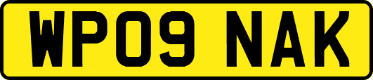 WP09NAK