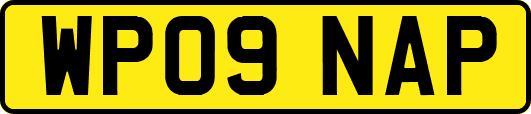 WP09NAP