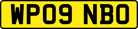 WP09NBO