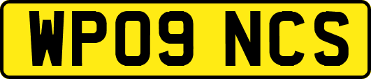 WP09NCS