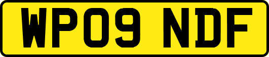 WP09NDF