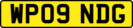 WP09NDG