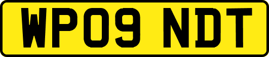 WP09NDT
