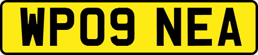 WP09NEA