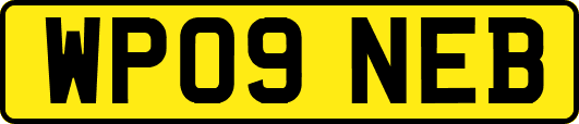 WP09NEB