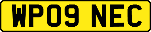 WP09NEC