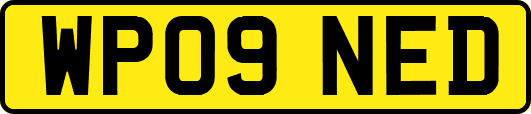 WP09NED