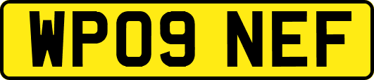 WP09NEF