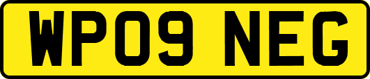 WP09NEG