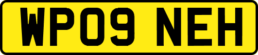 WP09NEH