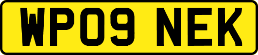 WP09NEK