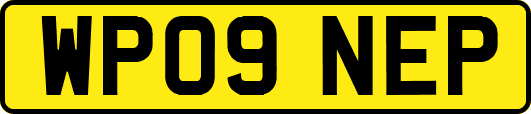 WP09NEP