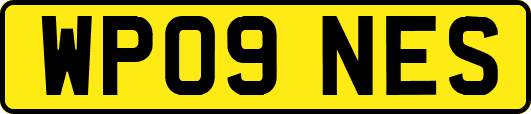 WP09NES
