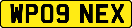 WP09NEX