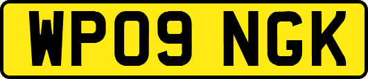WP09NGK