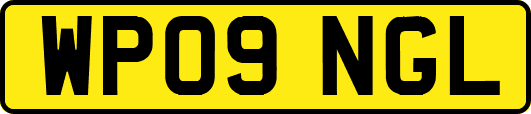 WP09NGL