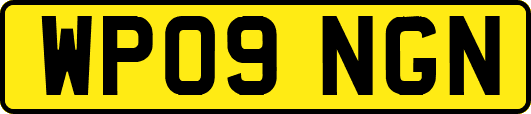 WP09NGN