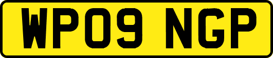 WP09NGP