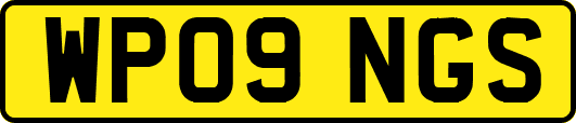 WP09NGS