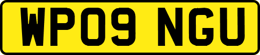 WP09NGU