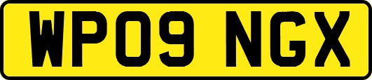 WP09NGX