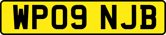 WP09NJB