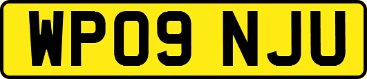 WP09NJU