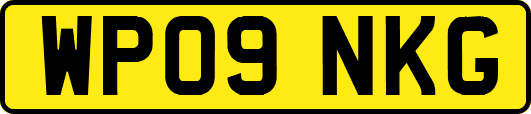 WP09NKG