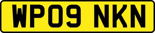 WP09NKN