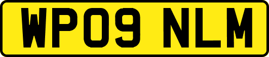 WP09NLM