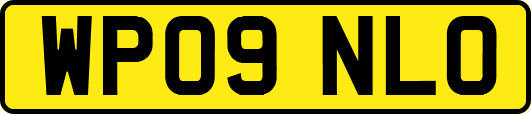 WP09NLO