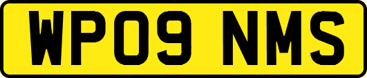 WP09NMS