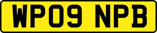 WP09NPB