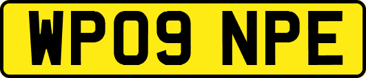 WP09NPE