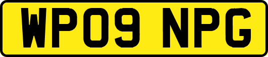 WP09NPG