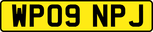 WP09NPJ