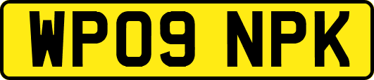 WP09NPK