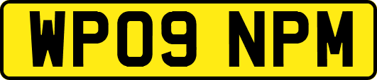 WP09NPM