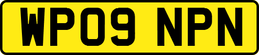 WP09NPN