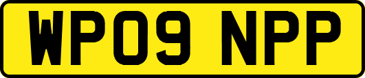 WP09NPP
