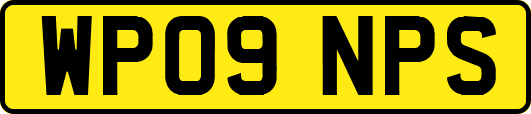 WP09NPS