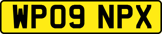WP09NPX