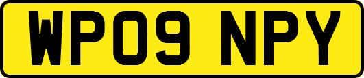 WP09NPY