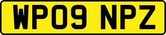 WP09NPZ