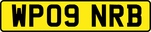 WP09NRB