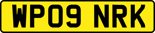 WP09NRK