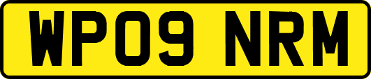 WP09NRM