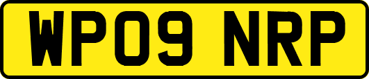 WP09NRP