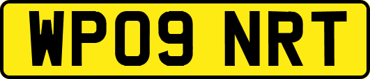 WP09NRT